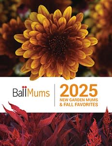 Ball Mums New Varieties and Fall Favorites Catalog is Here