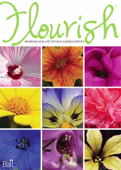 Retail Flourish 2011