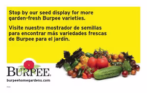 Plant to Seed Benchcard