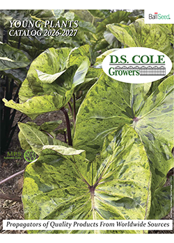cover of the D.S. Cole Growers 2027 catalog