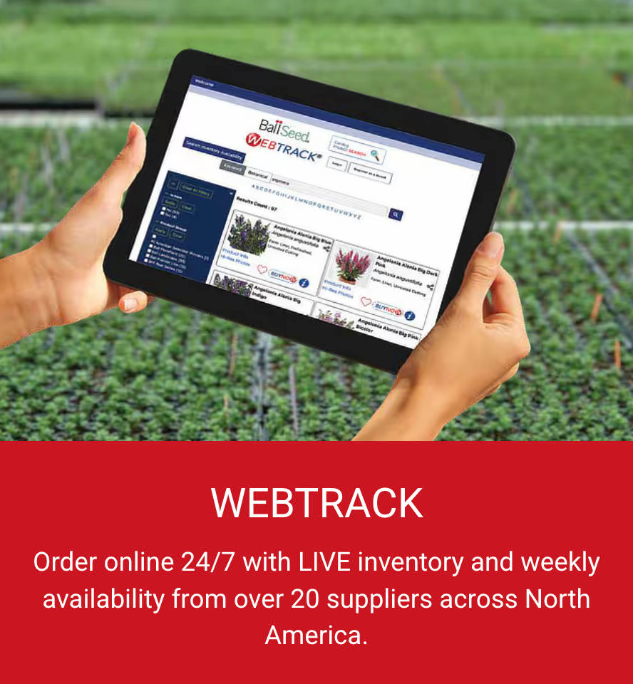 WebTrack on iPad