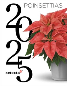  2025 Poinsettias Catalog Has Arrived from Selecta