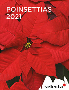 Poinsettia Success Starts Here