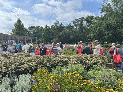 Group of people walking through a garden on a sunny day