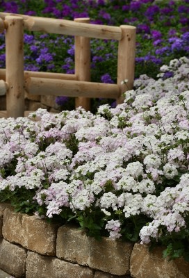 Top Picks for Pro Landscapers