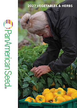 PanAmerican Seed Vegetables