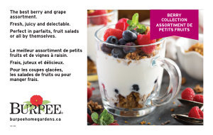 Berry Collection Benchcard