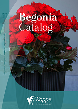 cover of the Koppe Begonias catalog 2026-2027