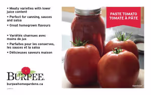 Tomato Paste Benchcard