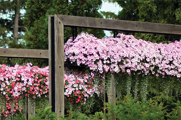 Skyframe Gardens at Ball