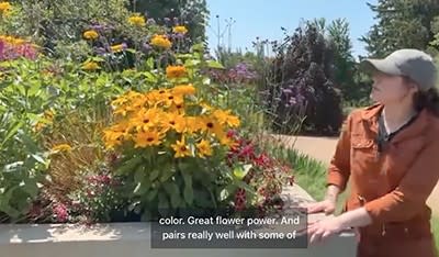 Woman in a garden with colorful blooms