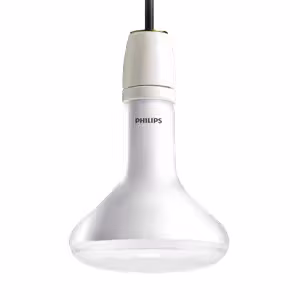 Signify GreenPower LED Flowering Lamp