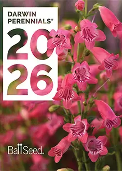 2026 Darwin Perennials catalog