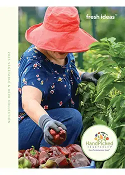 PanAmerican Seed Vegetables