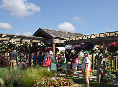 Outdoor event with people walking around flower beds and a gazebo
