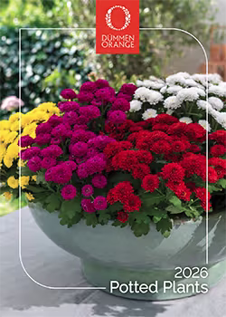 Dümmen Orange® Potted Plants 2026