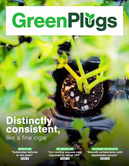 GreenPlugs brochure image
