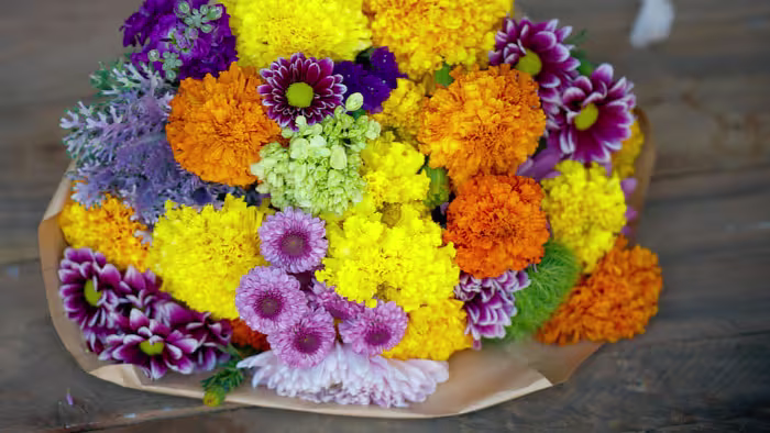 Cut Flowers Bouquet photo
