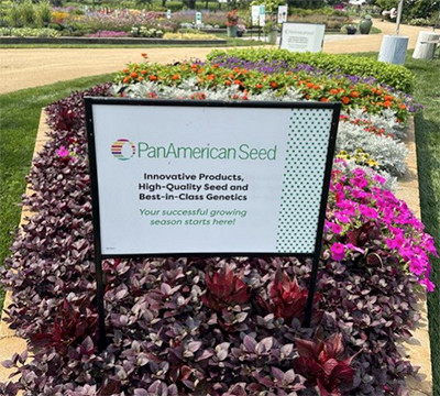 Let’s See the Magic Happen with PanAmerican Seed