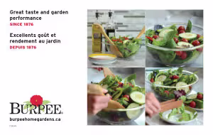 17253 Burpee Standard Salad