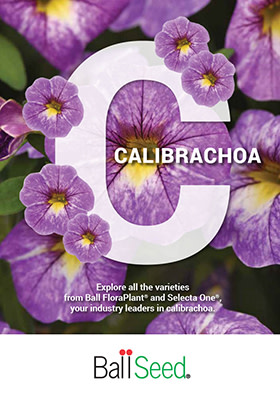 New Calibrachoa Brochure Available
