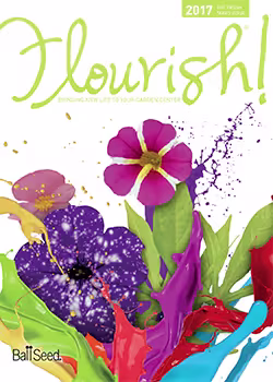 Retail Flourish 2017