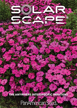 Solarscape Brochure
