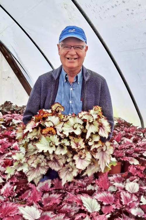 breeder Gary-Crook-Jurassic-Begonias-Dec2022