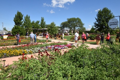 People enjoying an outdoor garden