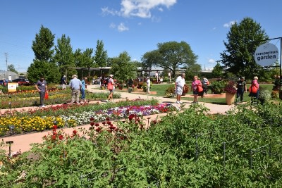 People enjoying an outdoor garden