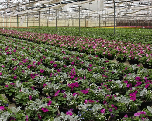 Join the Greenhouse Tech Team Facebook group