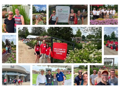 Collage people at a garden event 
