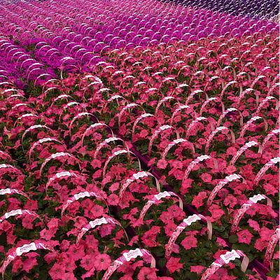 Wave production photo