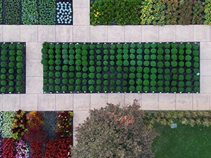 Drone view of a garden with lots of colors