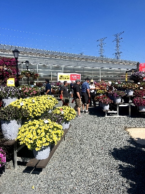 People enjoying flowers outdoors