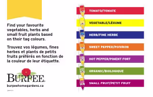 Color Coding Benchcard