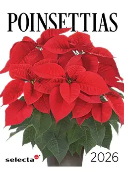 2026 Selecta One Poinsettia catalog