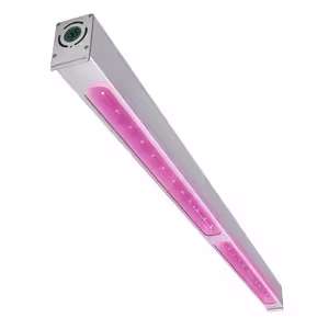 Signify GreenPower LED Toplighting