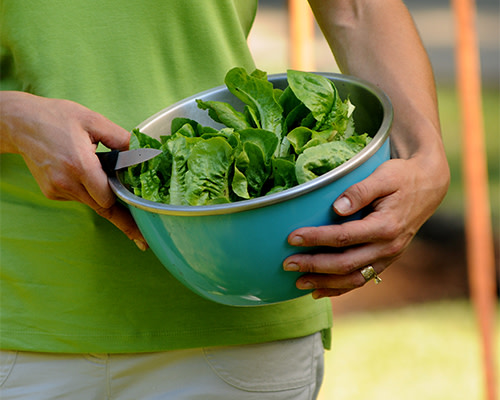 Victory gardens return