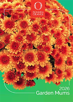 Dümmen Orange® Garden Plants 2026