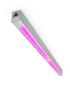 Ball Seed Is Your Partner For Philips LED Lighting