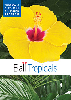 Cover of Ball Tropical Catalog