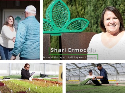 collage with people from Ball Tagawa Greenhouses