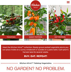 New Website For Kitchen Minis