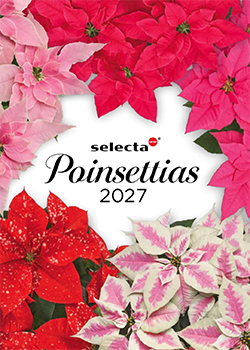 2027 poinsettias catalog cover from Selecta One