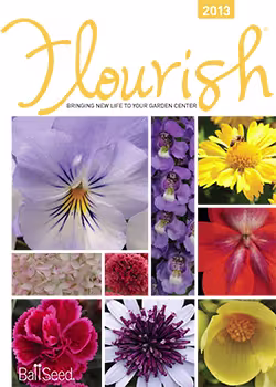 Retail Flourish 2013