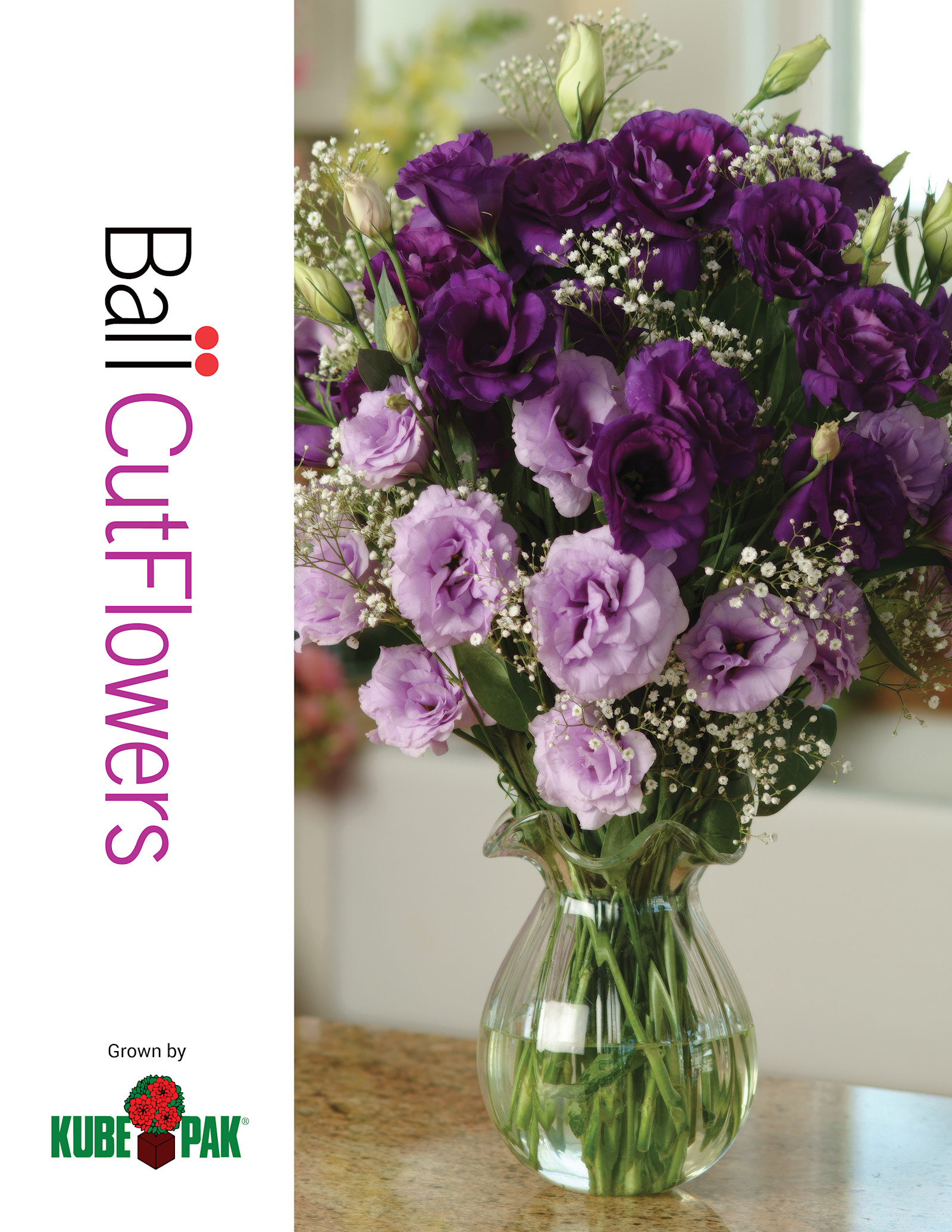 Kube-Pak Cut Flowers 2027 brochure cover