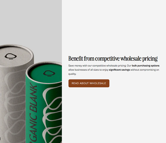 Shopify Store Building