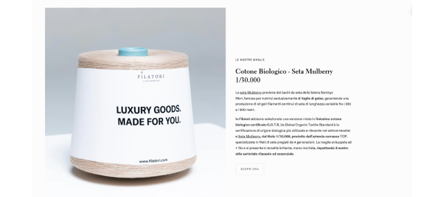 Global Store Expansion