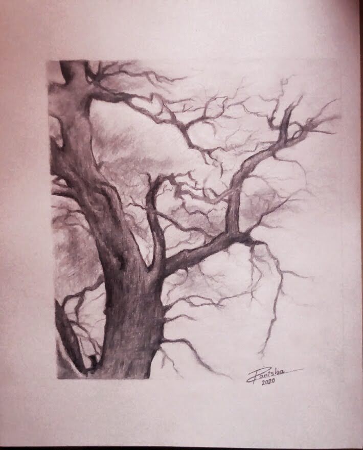 Ronisha Arts (bare branch)